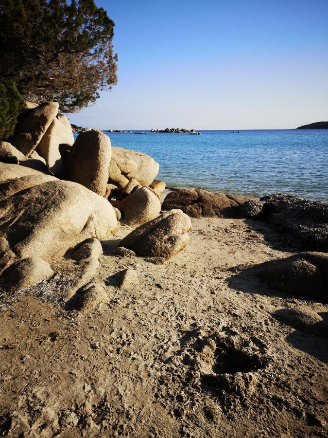 Residence Cala Sultana -Baie Santa Giulia - Rez Jardin 1Ere Ligne ポルトヴェッキオ エクステリア 写真